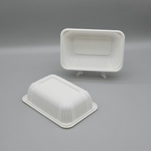 Compostable Rectangular PLA Deli Container with clear lid