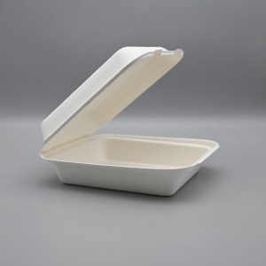 8,5 Zoll Single Bagasse ClamShell Box Food Container Fournisseur