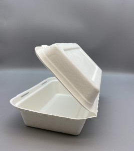 1000ml Bagasse Clam Shell Box Food Hinged Container