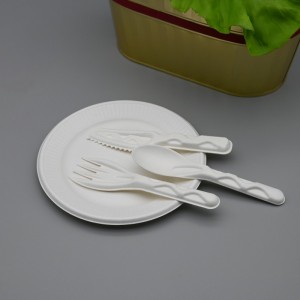 I-Biodegradable Compostable Bagasse I-Sugarcane Pulp spoon+i-fork knife cutlery