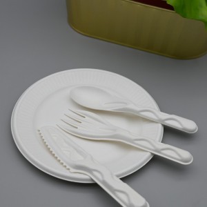 I-Biodegradable Compostable Bagasse I-Sugarcane Pulp icephe+i-fork knife cutlery