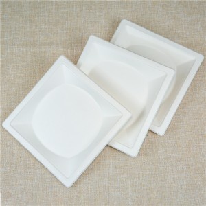 8.5 inch/10inch Sugarcane Bagasse Square Plate | Biodegradable Tray