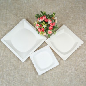 8.5 inch/10inch Sugarcane Bagasse Square Plate | Biodegradable Tray