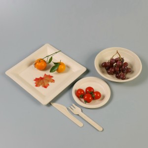 10 "Biodegradable Bagasse Square Plates - Eco-Friendly Packaging