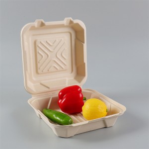 Disposable Biodegradable bagasse Pulp 8/9inch Clamshell Food container