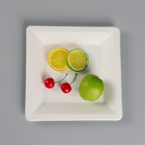 Biodegradable 8 inch Square Plates Made from Sugarcane Fiber