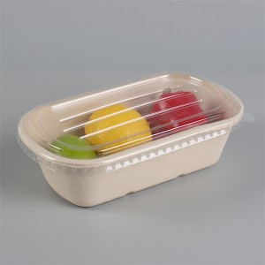 750ml Bagasse Tais |Sugarcane Rectangle Food Container