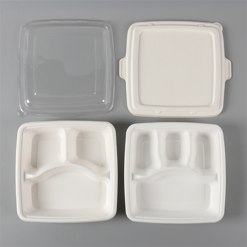 Verstehen Sie die Lunchbox mit Deckel aus Zuckerrohrbrei von MVI ECOPACK?