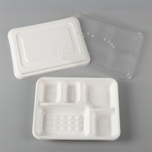100% Compostable 5 Compostment Disposable Bagasse School Lunch Trays