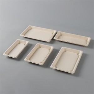 Takeaway Sushi Tray | Bagasse | Compostable Food Packaging