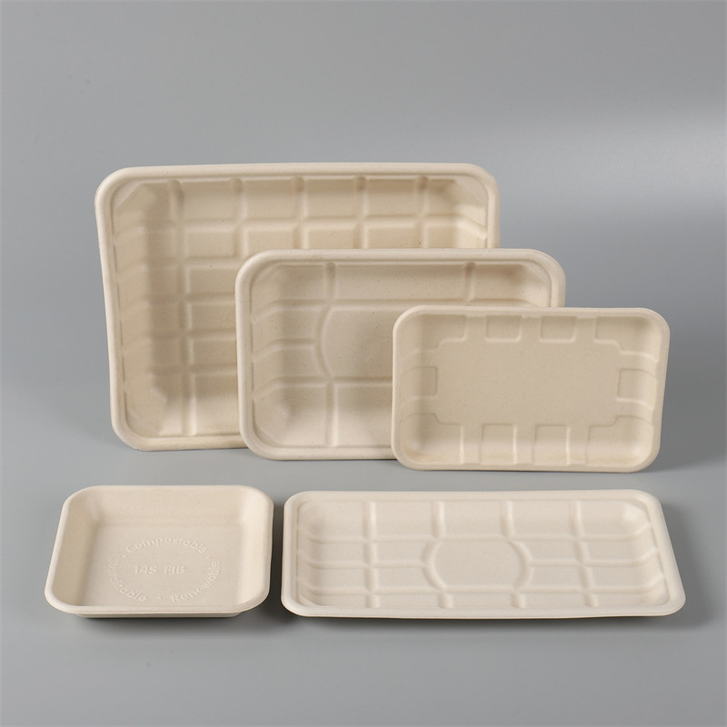 Unbleached Finish Eco-friendly Sugarcane Tray l Disposable Meal Tray