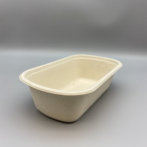750ml Bagasse Tray |Sugarcane Rectangle Food Container