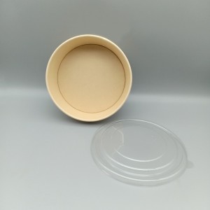 Ecofriendly Disposable bamboo fiber Bowl with Lid food Container