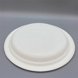 Sugarcane Bagasse Food Plates – Compostable 9″ Round Plate