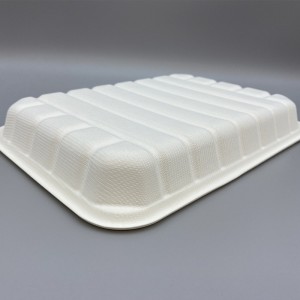 Biodegradable 8 inch Compostable Bagasse Food Trays