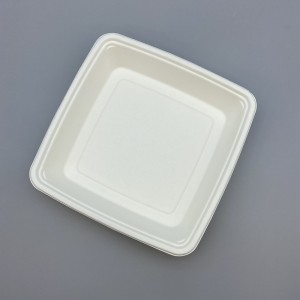 9" x 9" အဖုံးပါသော Biodegradable Takeaway ကြံ/Bagasse Tray