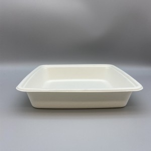 9” x 9” Ithreyi ye-Biodegradable Takeaway yomoba/i-Bagasse eneSivalo