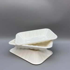 Bgasse Pulp Bio Packaging l Ecofriendly Food and Meal Tray