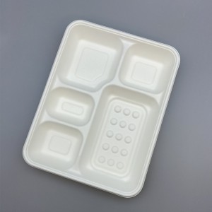 100% Compostable 5 Scompartiment Bagasse Disposable School Lunch Trays