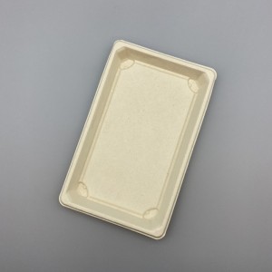 Takeaway Sushi Tray | Bagasse | Compostable Food Packaging