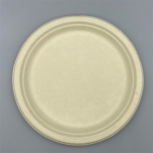 Nplej Straw Biodegradable 10inch Dinner Plate l Disposable Phaj