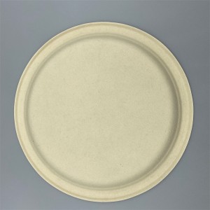 Nplej Straw Biodegradable 10inch Dinner Plate l Disposable Phaj