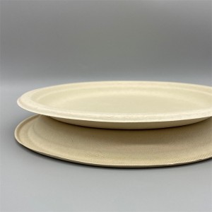 Wheat Straw Biodegradable 10inch Dinner Plate l Disposable Plates