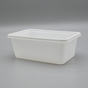 Disposable compostable PLA 1000ml salad Square Container with Flat Lid