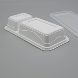 compostable PLA food retangle box dumpling / sushi container mei Lid