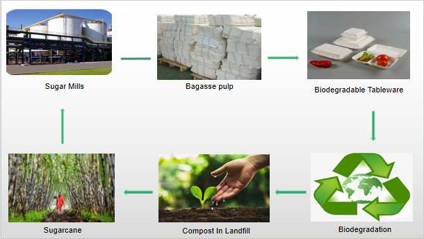 How does MVI ECOPACK address the production process of biodegradable materials and compare it with traditional materials?