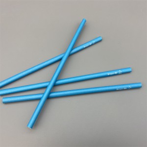 Customized Plastic Free Disposable Paper Straw | MVI ECOPACK