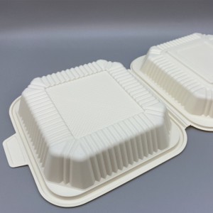 Caja de comida biodegradable para llevar de alta calidad con protección del medio ambiente de 8 pulgadas