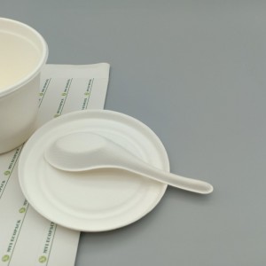 Bio Disposible Compostable 'Moba Pulp Bagasse Cutlery Chinese Spoon
