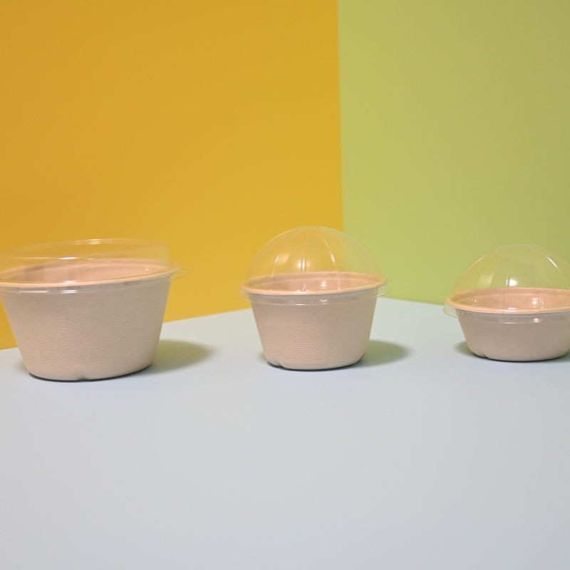 biodegradable sugarcane ice cream bowls