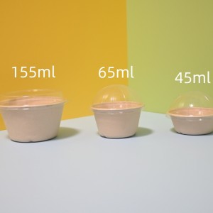 biodegradable bagasse 155ml ice cream bowl with PET lid food container