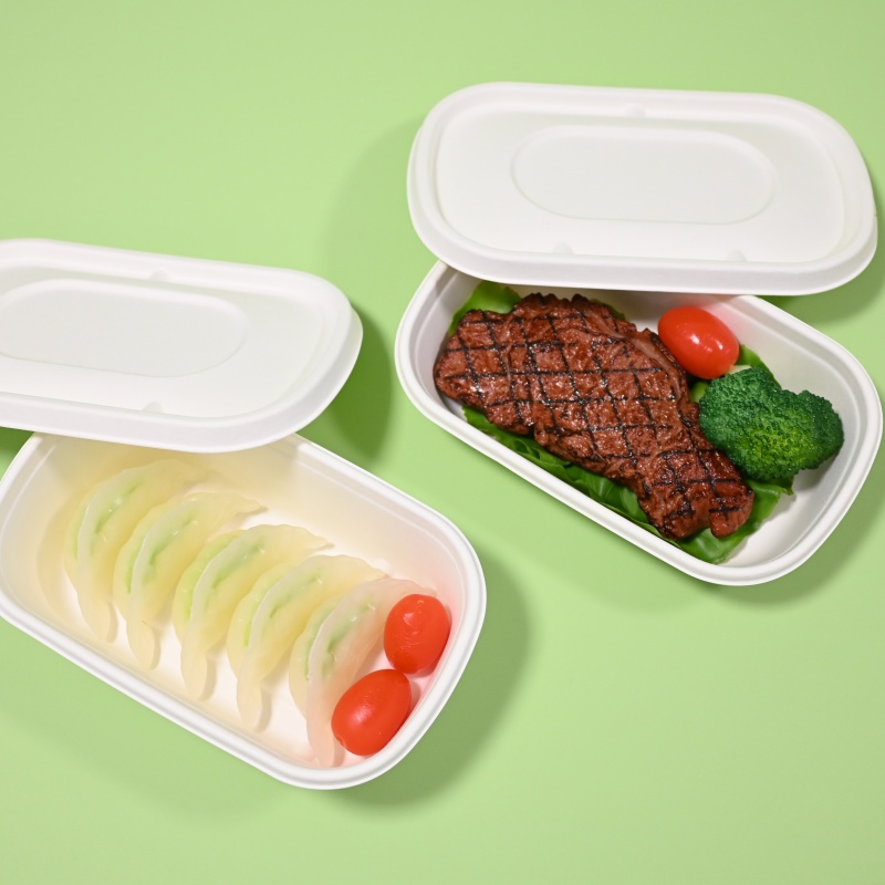 compostable takeaway food container 