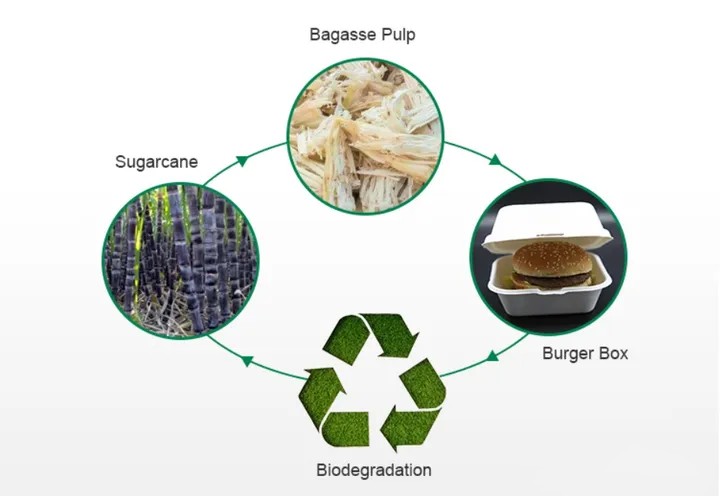 Que é o compost?Por que compost?Compostaxe e vaixelas desbotables biodegradables