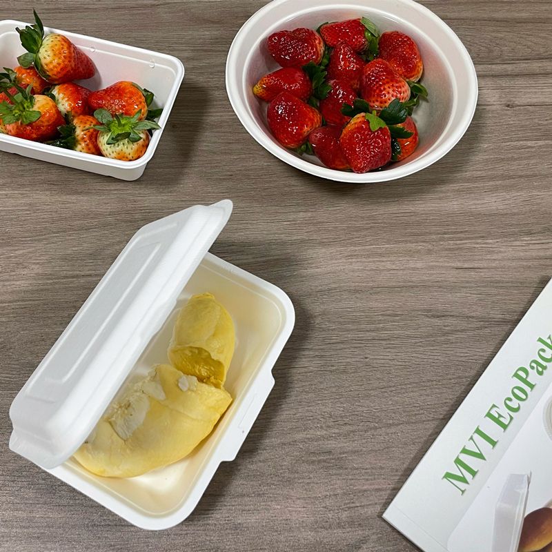 Nova tendência ecológica: caixas de refeição biodegradáveis ​​para levar para café da manhã, almoço e jantar
