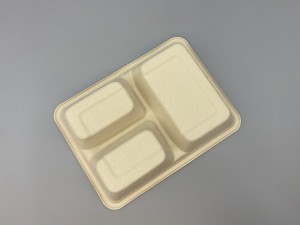 Biodegradable Takeout Sugarcane Bagasse Food Eiyan 3-Compartment