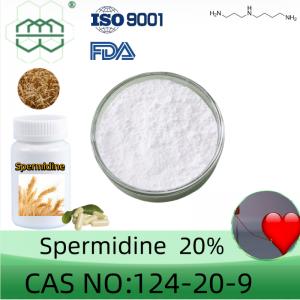 Spermidine powder manufacturer  CAS No.: 124-20-9-0 20%  purity min. for supplement ingredients