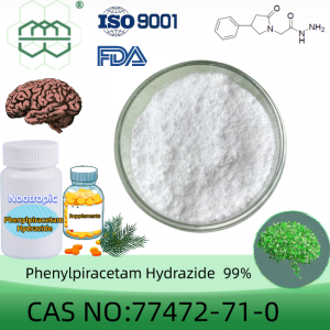 Phenylpiracetam Hydrazide powder manufacturer  CAS No.: 77472-71-0 99% purity min. for supplement ingredients
