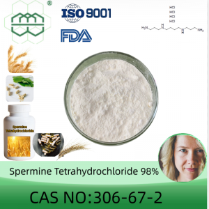 Spermine Tetrahydrochloride (SPT) poud manifakti CAS No .: 306-67-2 98.0% pite min.pou engredyan siplemantè