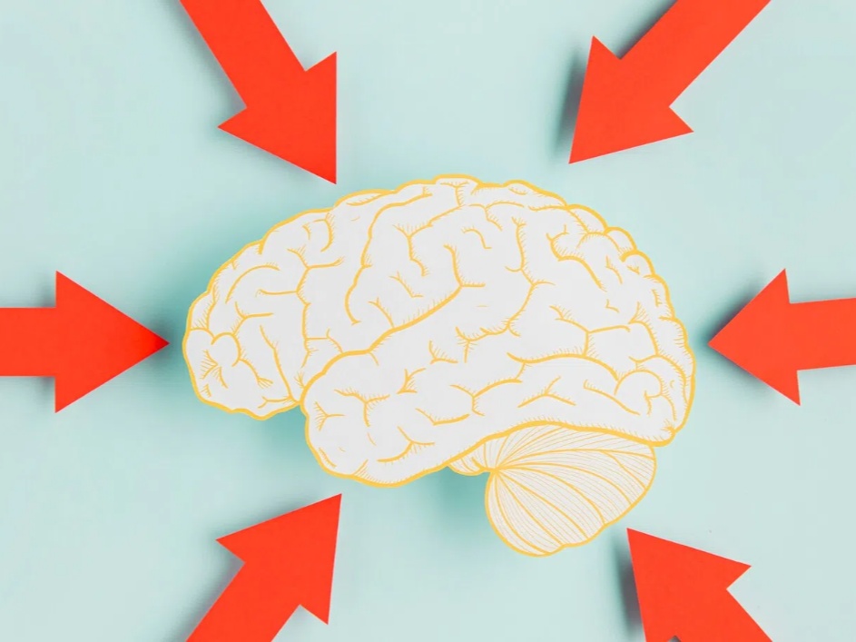 How to Choose the Best Aniracetam Powder: A Buyer’s Guide