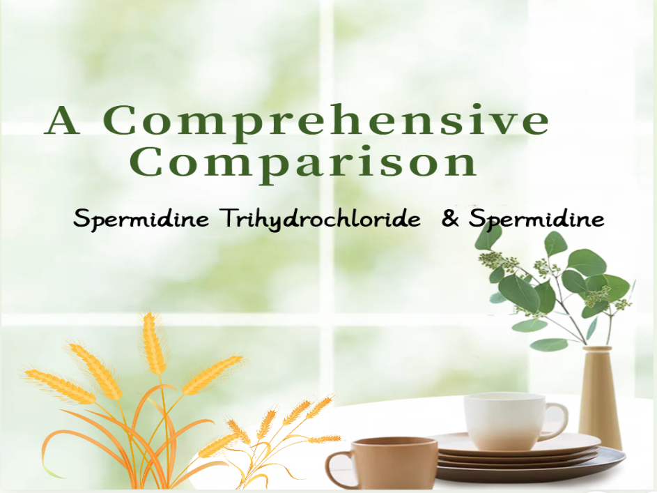 Veda za hydrochloridom spermidínu a spermidínom: Komplexné porovnanie