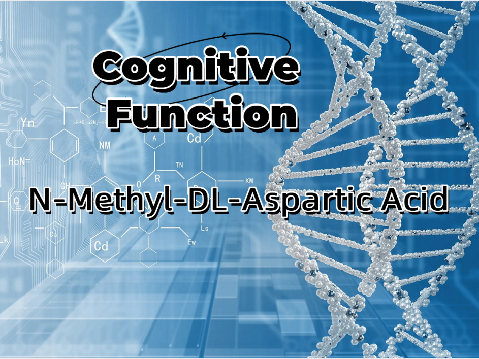 Explorer les avantages de l'acide N-méthyl-DL-aspartique pour la fonction cognitive