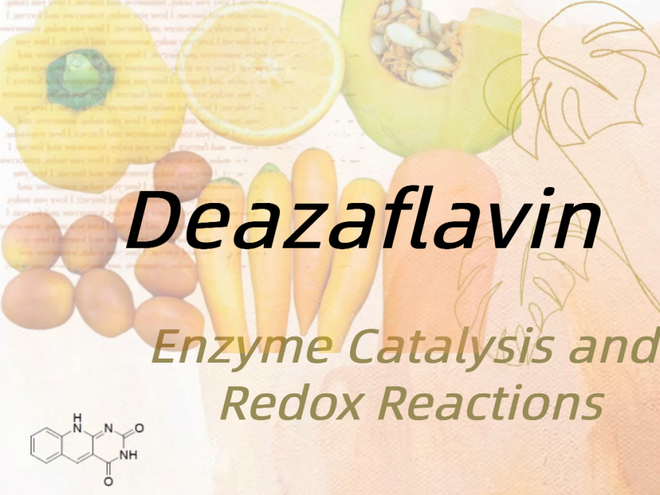 Deazaflavine: een belangrijke speler in enzymkatalyse en redoxreacties