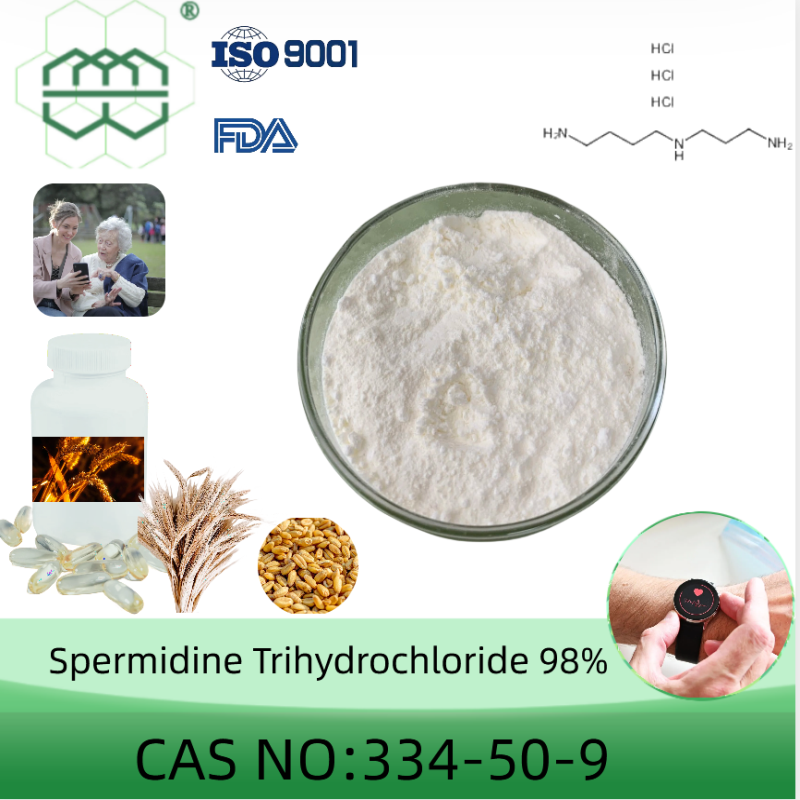 Spermidine Trihydrochloride powder manufacturer  CAS No.: 334-50-9-0 98.0%  purity min. for supplement ingredients