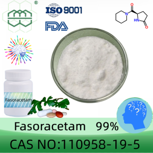 Gwneuthurwr powdwr Fasoracetam Rhif CAS: 110958-19-5 99% purdeb min.ar gyfer cynhwysion atodol