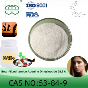Beta-Nicotinamide Adenine Dinucleotide(NAD+) പൊടി നിർമ്മാതാവ് CAS നമ്പർ: 53-84-9 98.5% പരിശുദ്ധി മിനിറ്റ്.സപ്ലിമെൻ്റ് ചേരുവകൾക്കായി