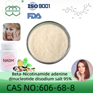 Beta-Nicotinamide adenine dinucleotide disodium salt (NADH) powder manufacturer  CAS No. : 606-68-8 95% purity min.